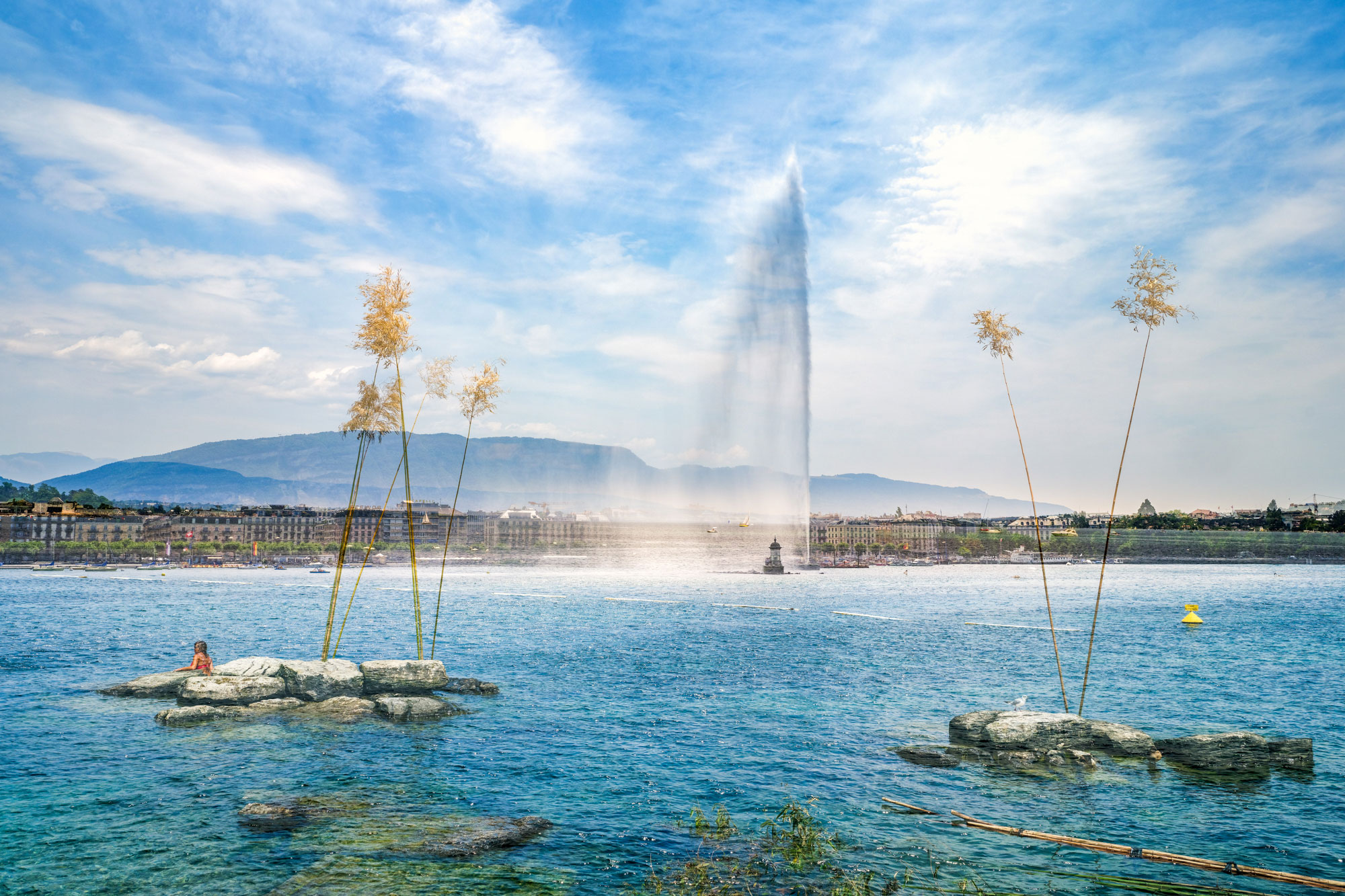 GENEVA