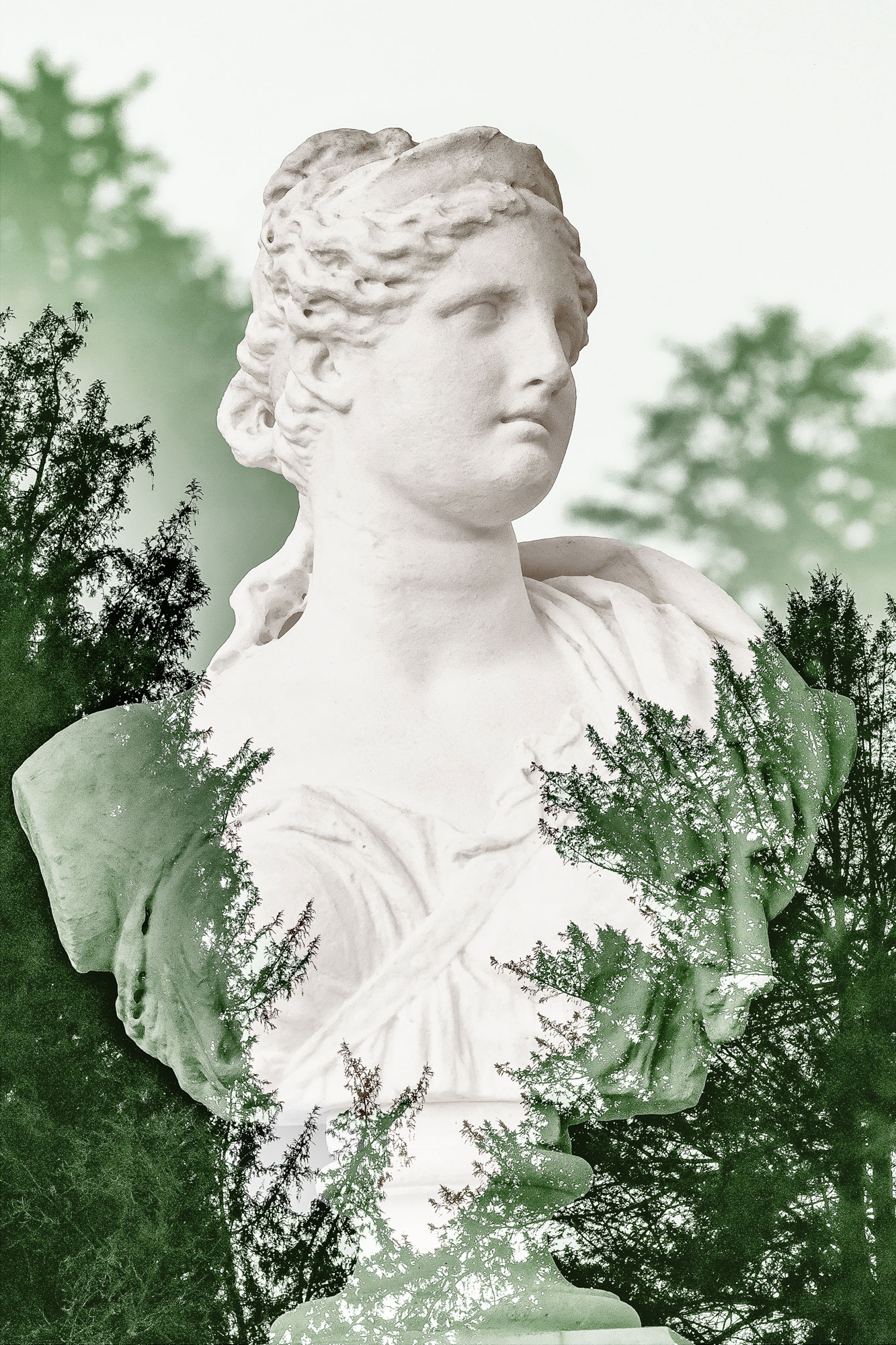 BOSQUET DE LA REINE