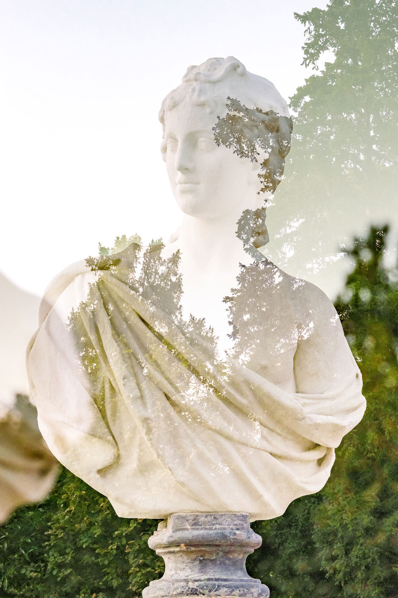 BOSQUET DE LA REINE 2
