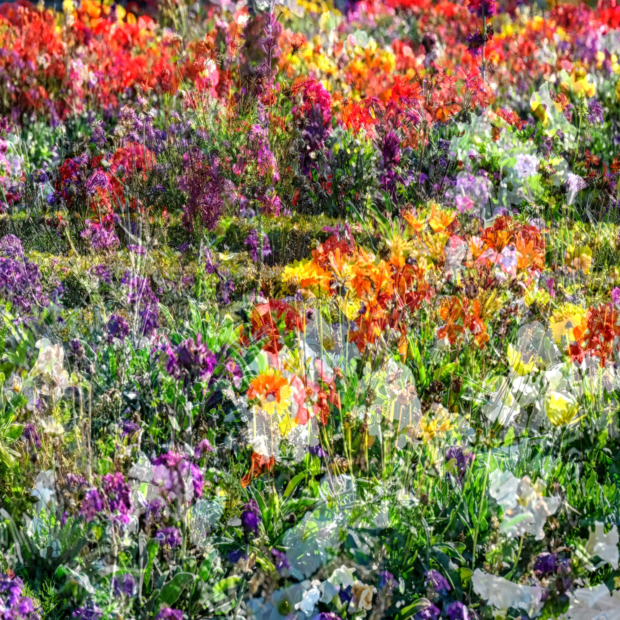 JARDIN SECRET 2