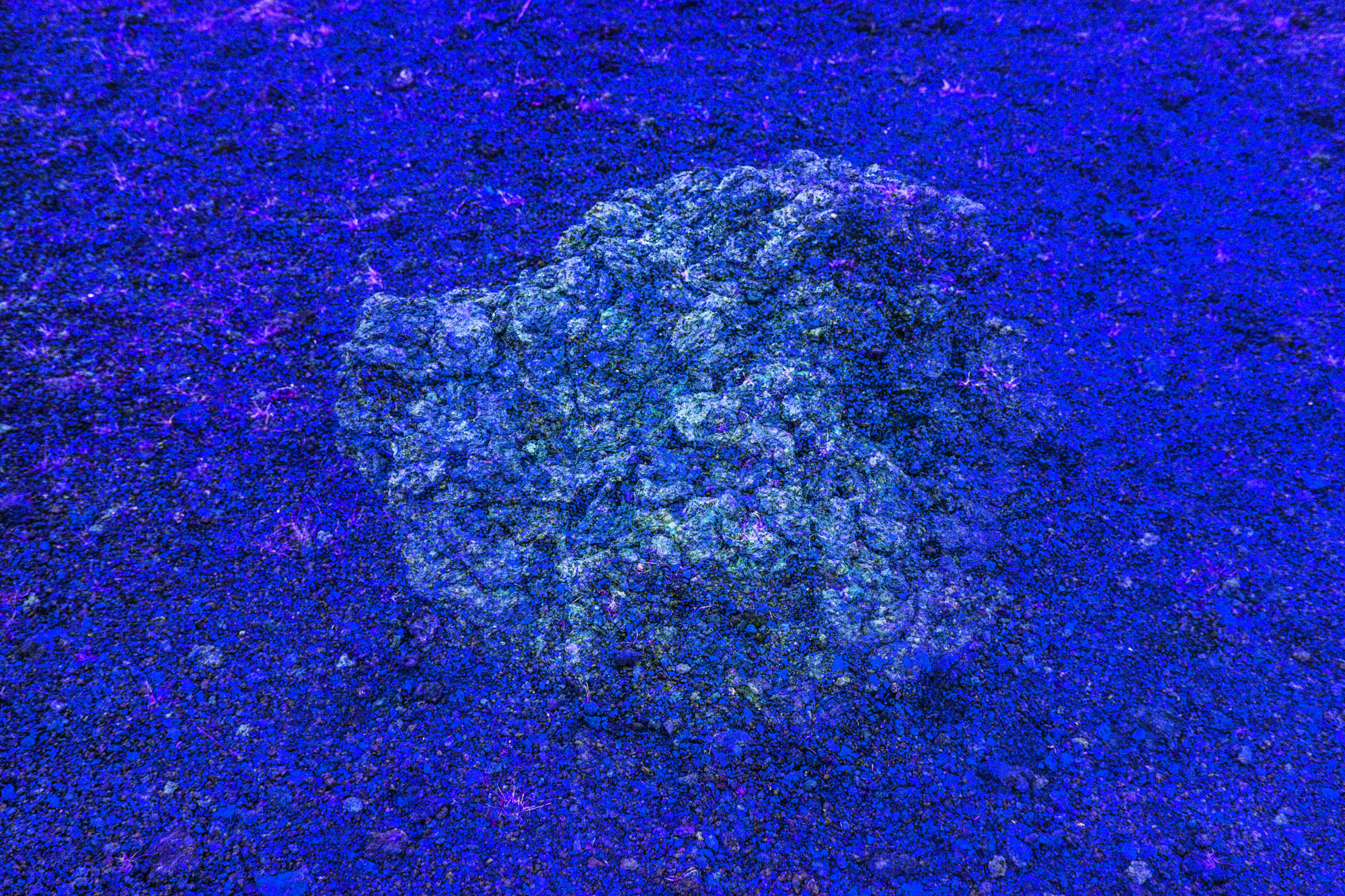 DIAGENESIS 2